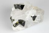 Green Elbaite Tourmaline Crystals in Quartz - Pakistan #175536-4